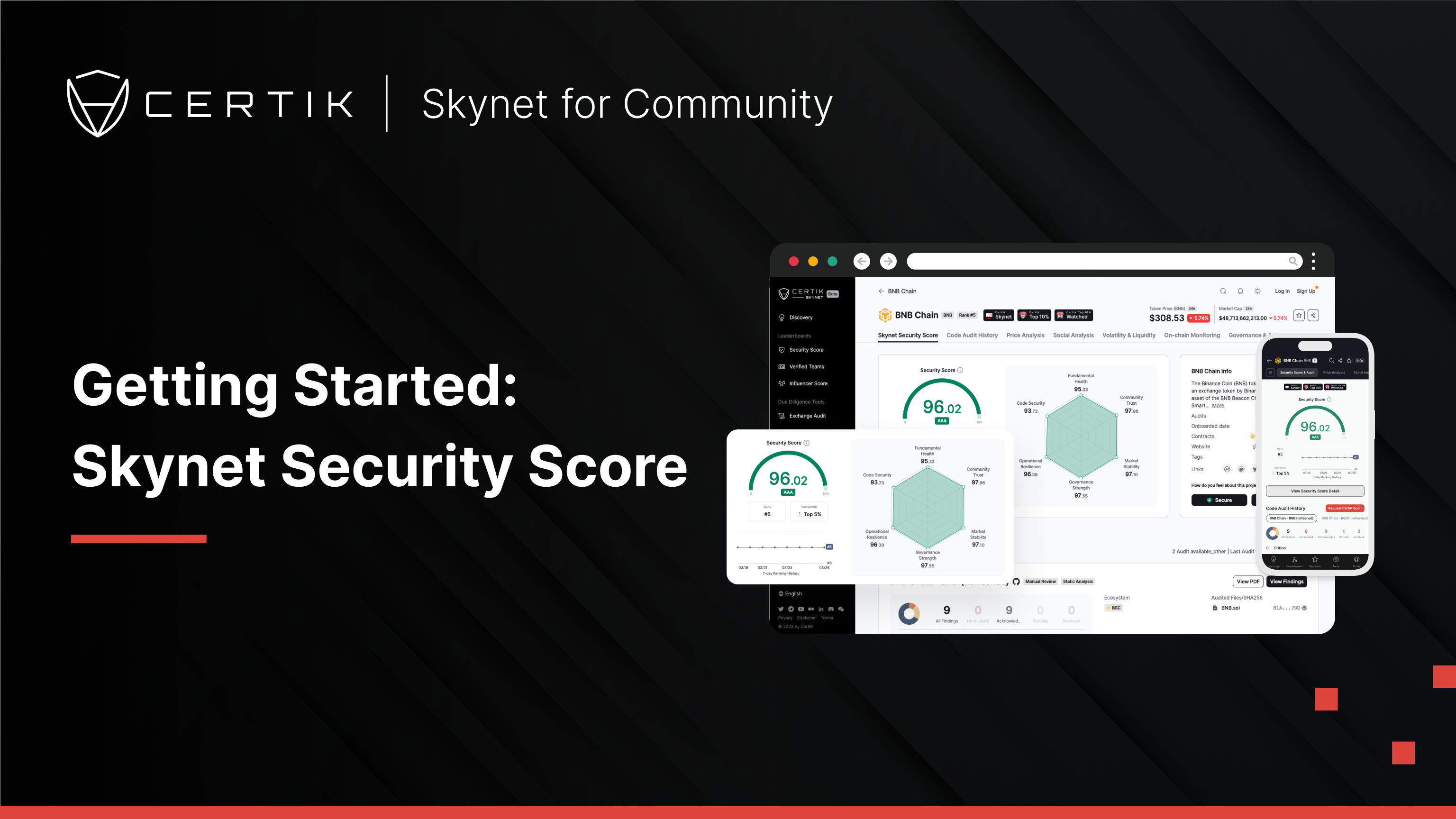 Cover image for Skynet Security Score