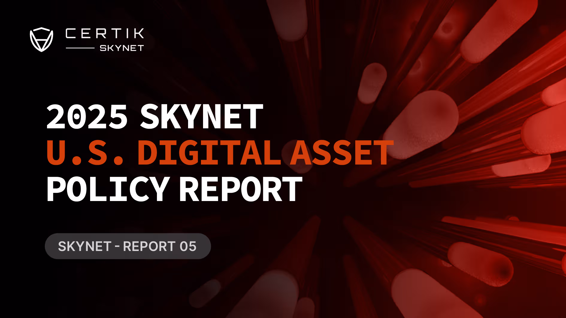Skynet U.S. Digital Asset Policy Report